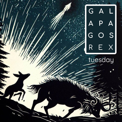 Tuesday artwork